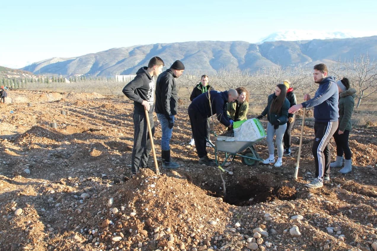 Sadnja voćaka na Pokušalištu