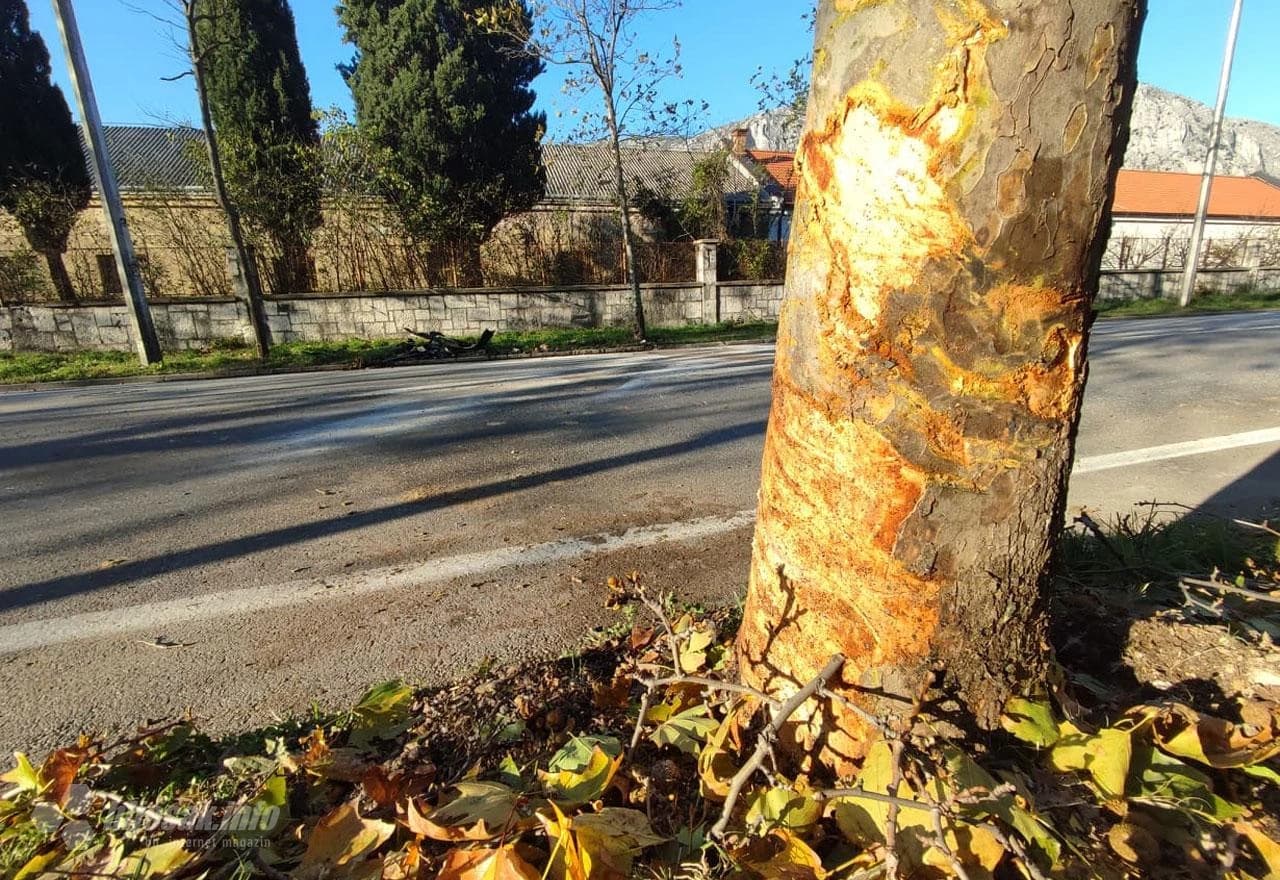 Golfom se zabio u stablo