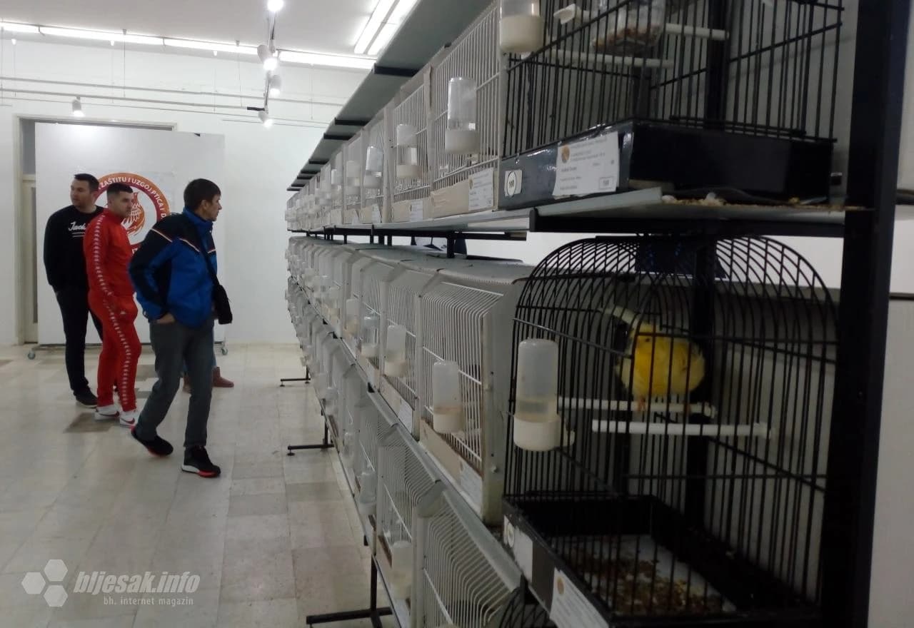 Šarenilo perja 'okupiralo' Kosaču 