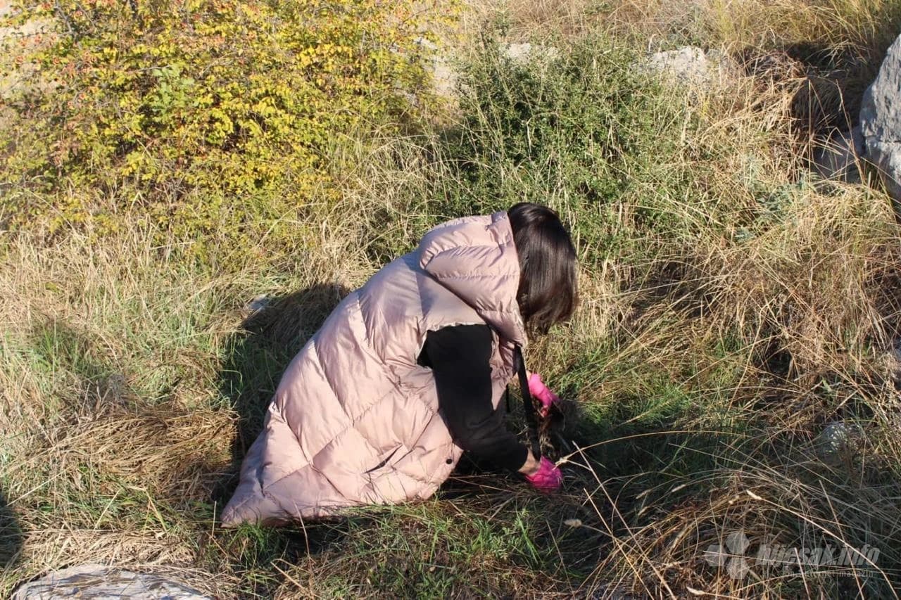 Akcija pošumljavanja u Čapljini