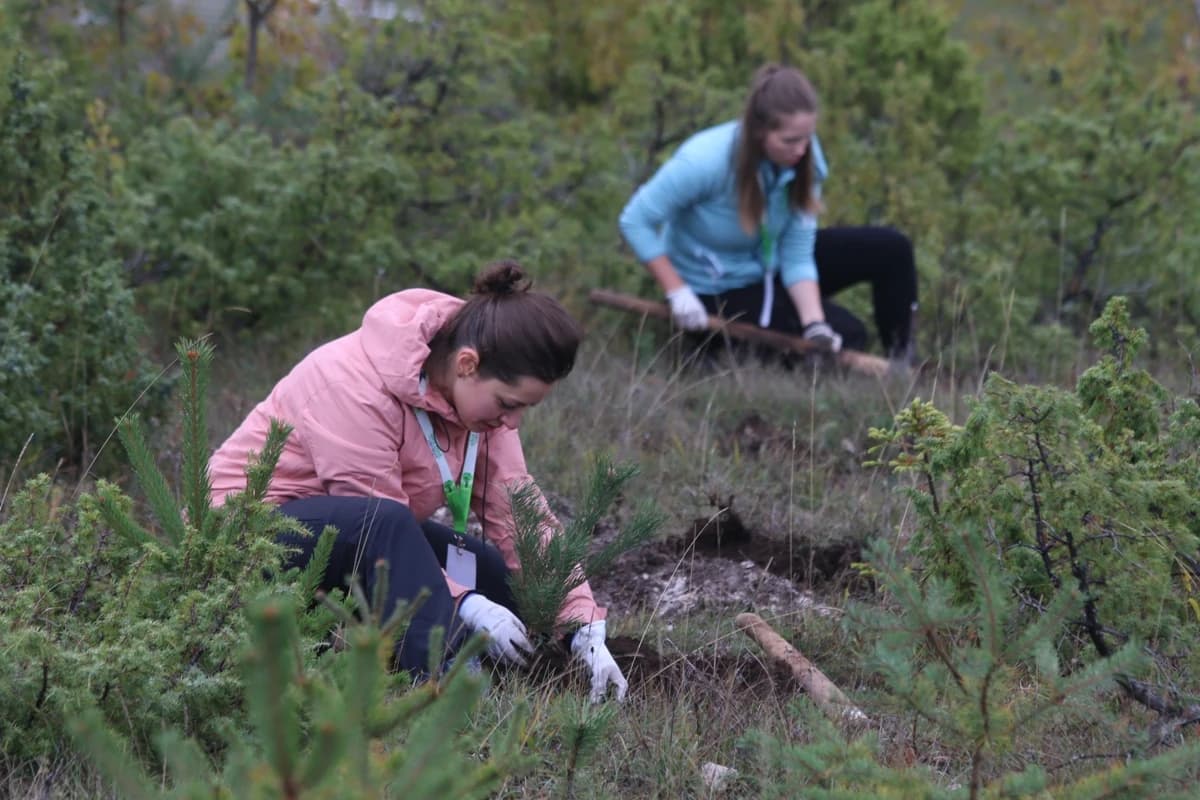SARA i Let's Do It u akciji pošumljavanja: 1000 sadnica za Bjelašnicu