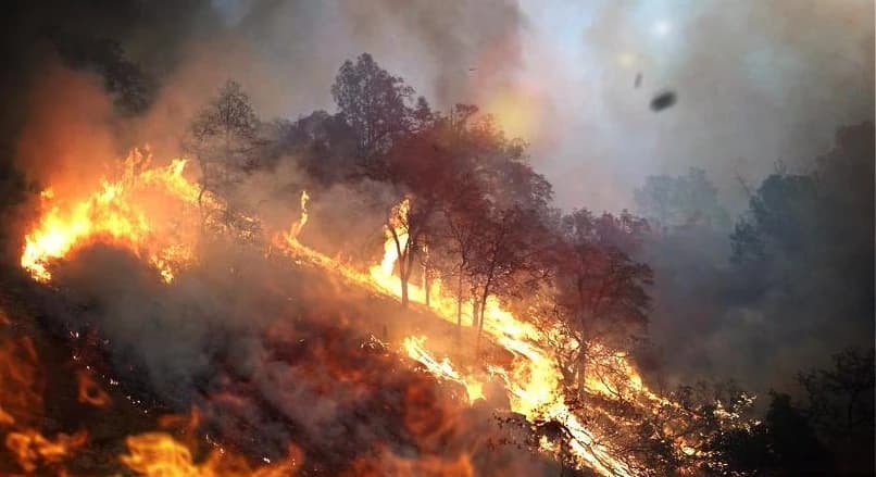 Klimatske promjene vidljive na Aljasci