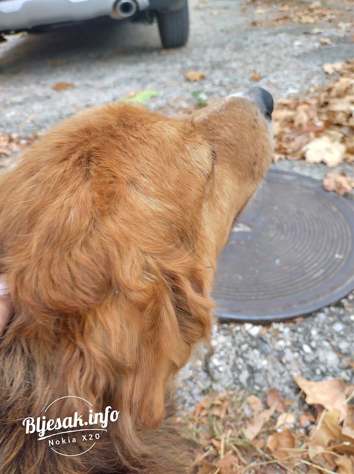 Nokia X20 – bitka za srednju klasu