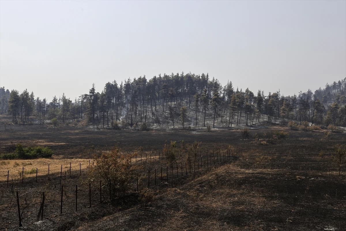 Posljedice požara u Grčkoj katastrofalne