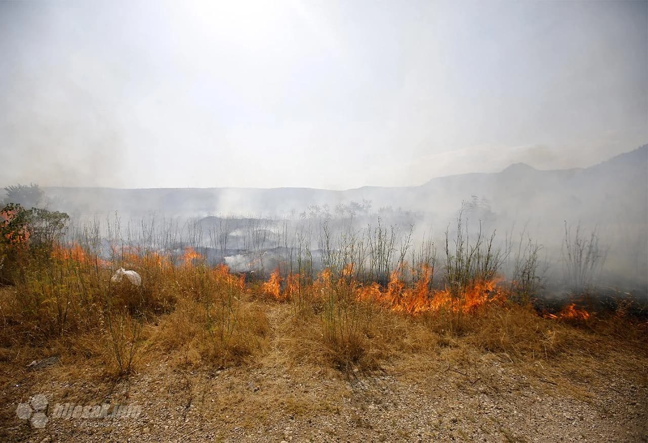Spaljena zemlja nakon velikog požara u Bačevićima