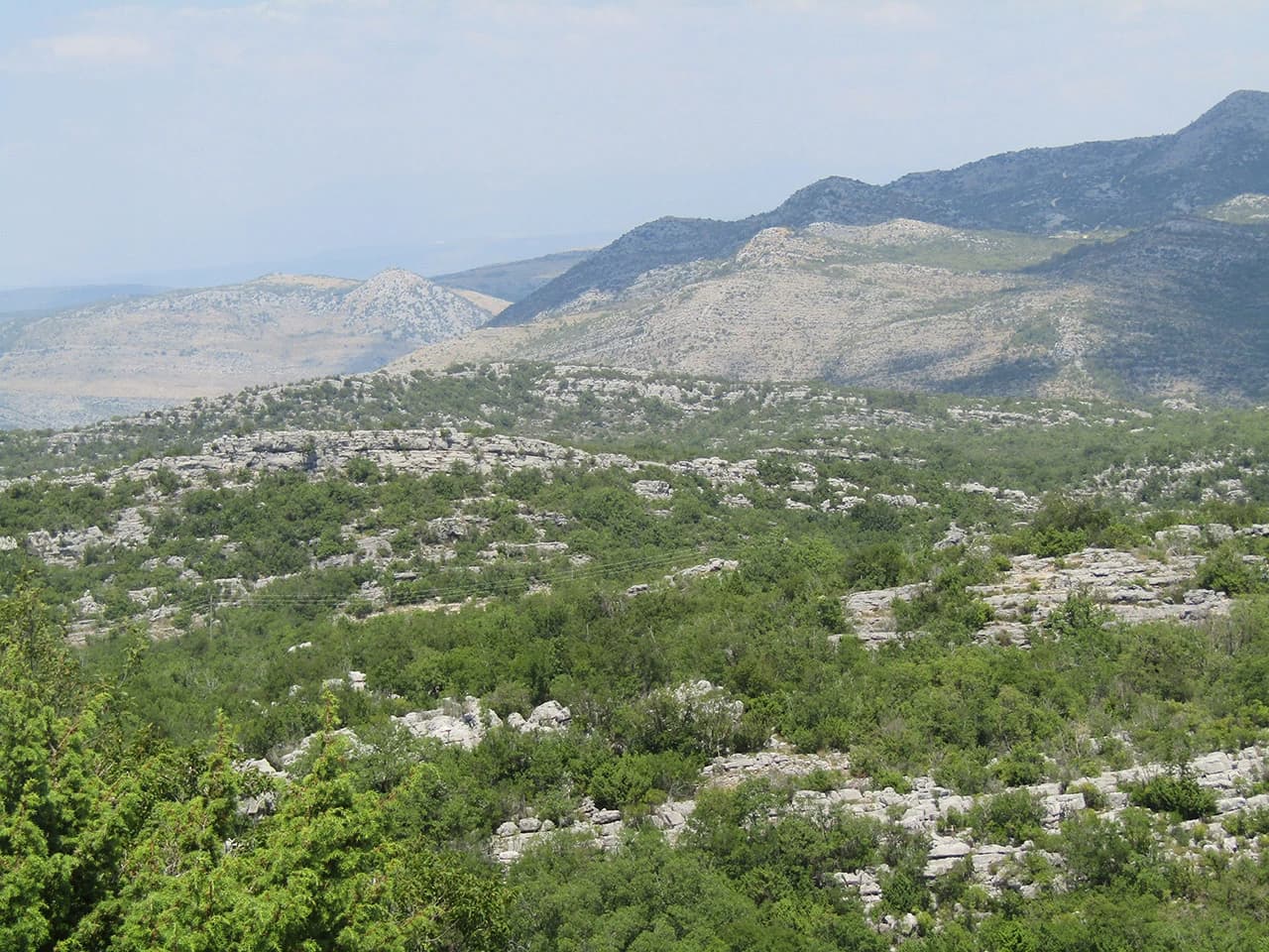 Otvoren lov na dinosaure u Ravnom!