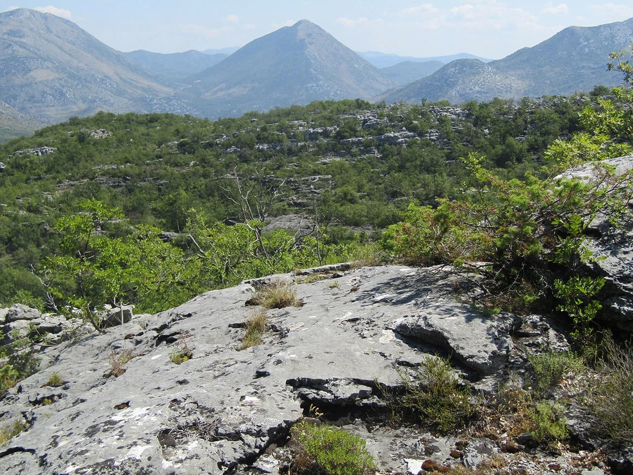 Otvoren lov na dinosaure u Ravnom!