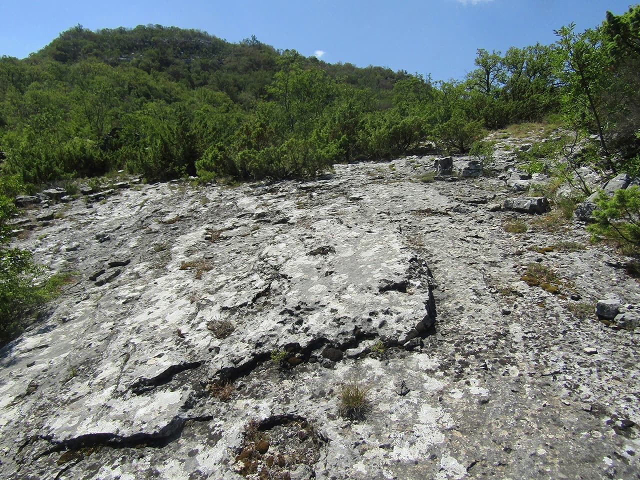 Otvoren lov na dinosaure u Ravnom!