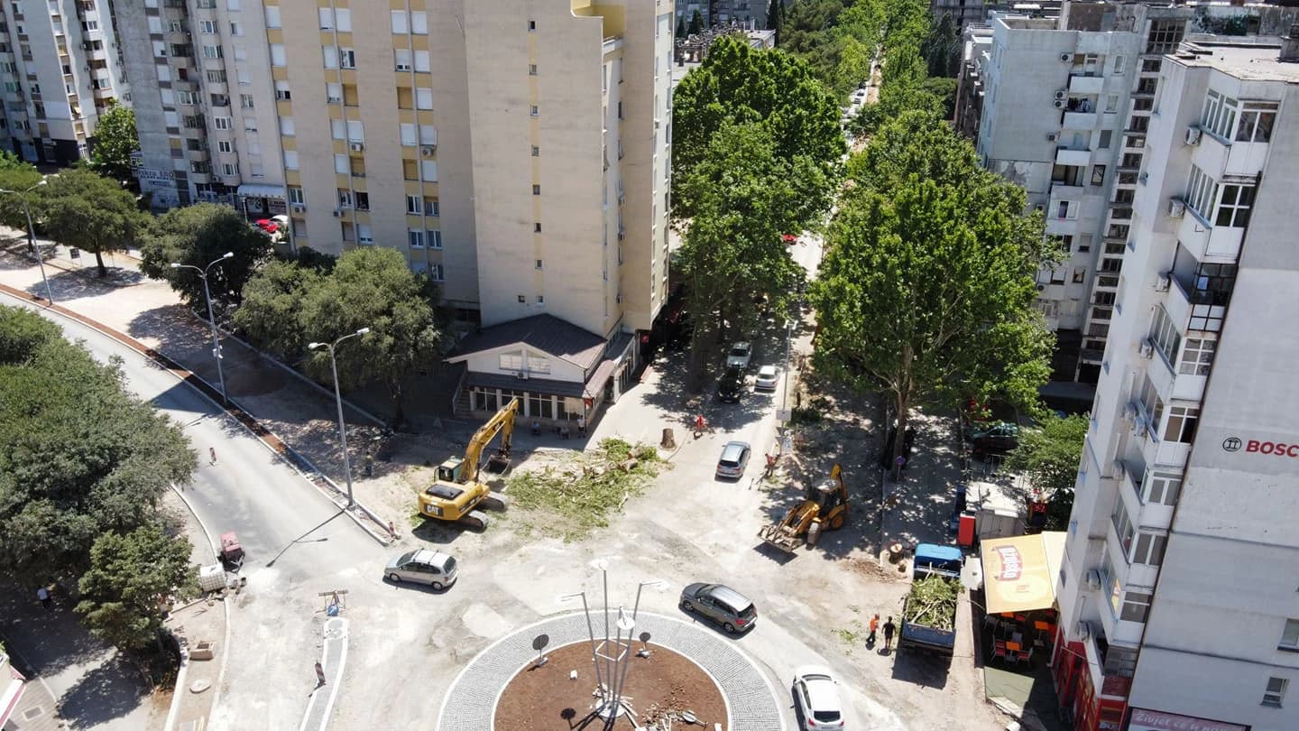 Uklanjaju se ostaci: Zbogom jednom od najstarijih platana na Aveniji