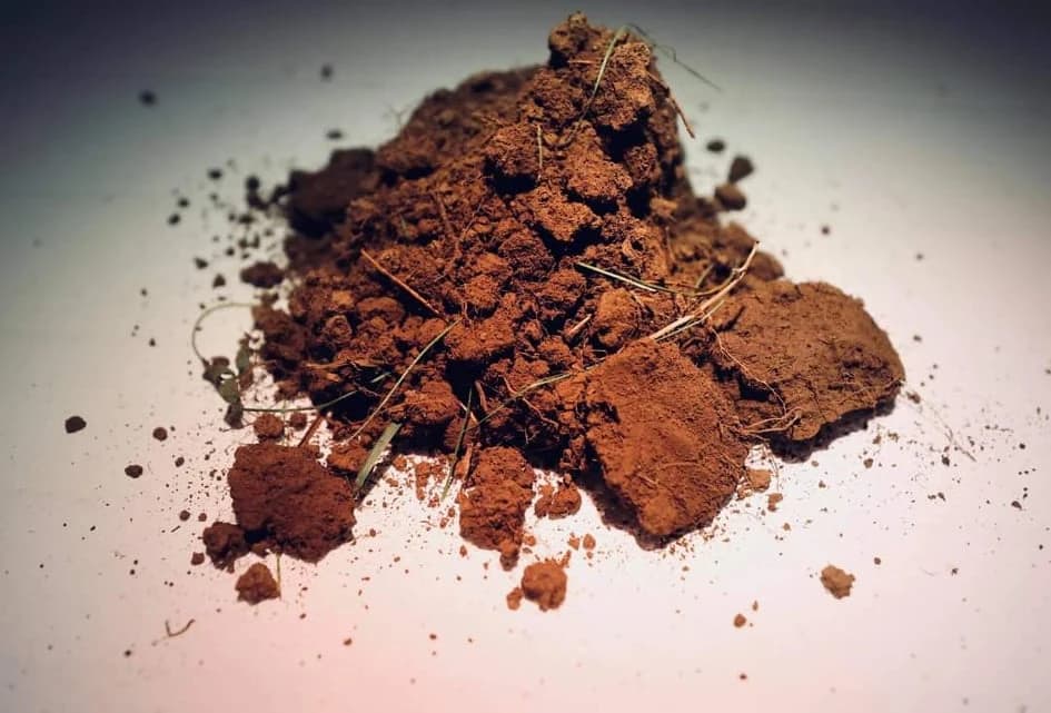 Izložba Ko bi Bog u Bosni bio