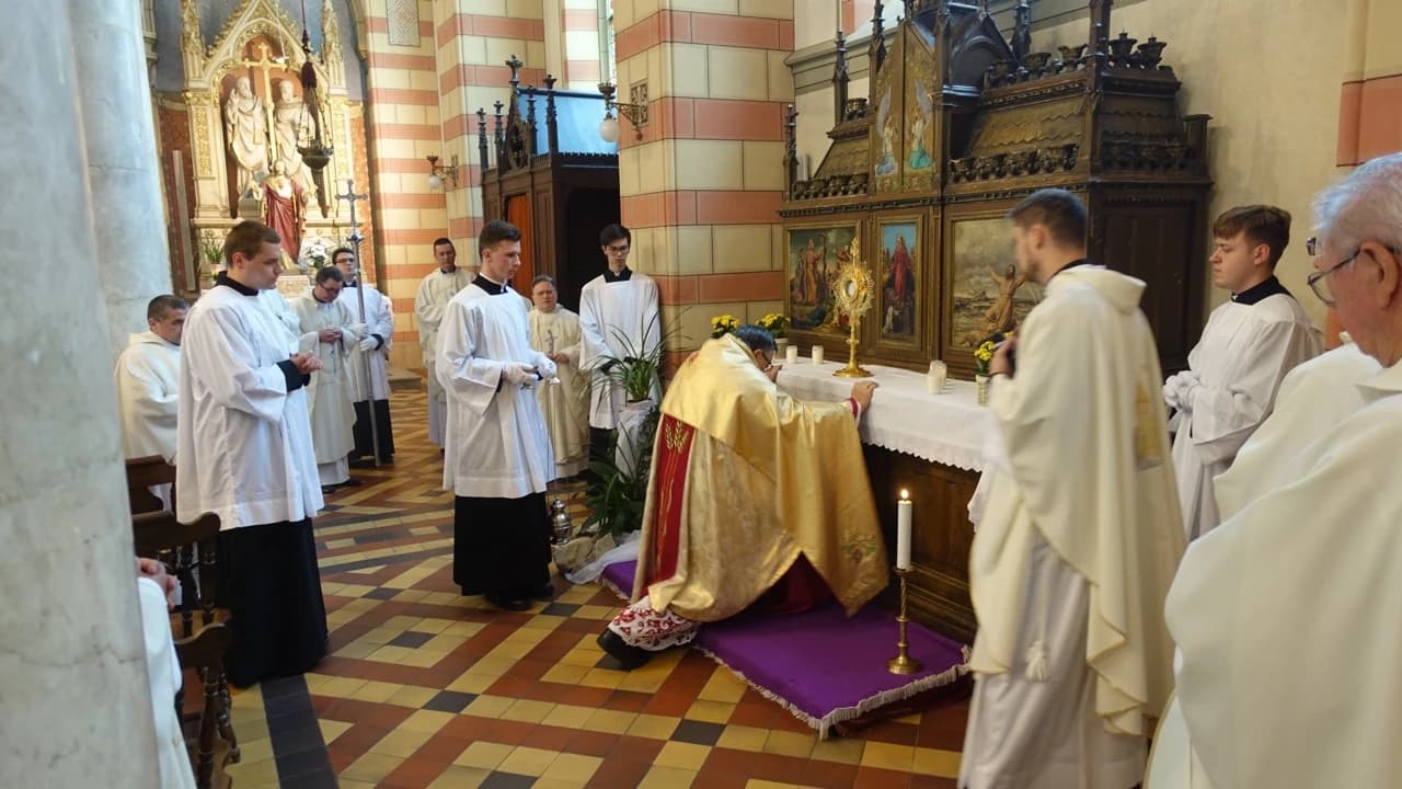 Kardinal Puljić predvodio Euharistijsko slavlje na Tijelovo u sarajevskoj katedrali