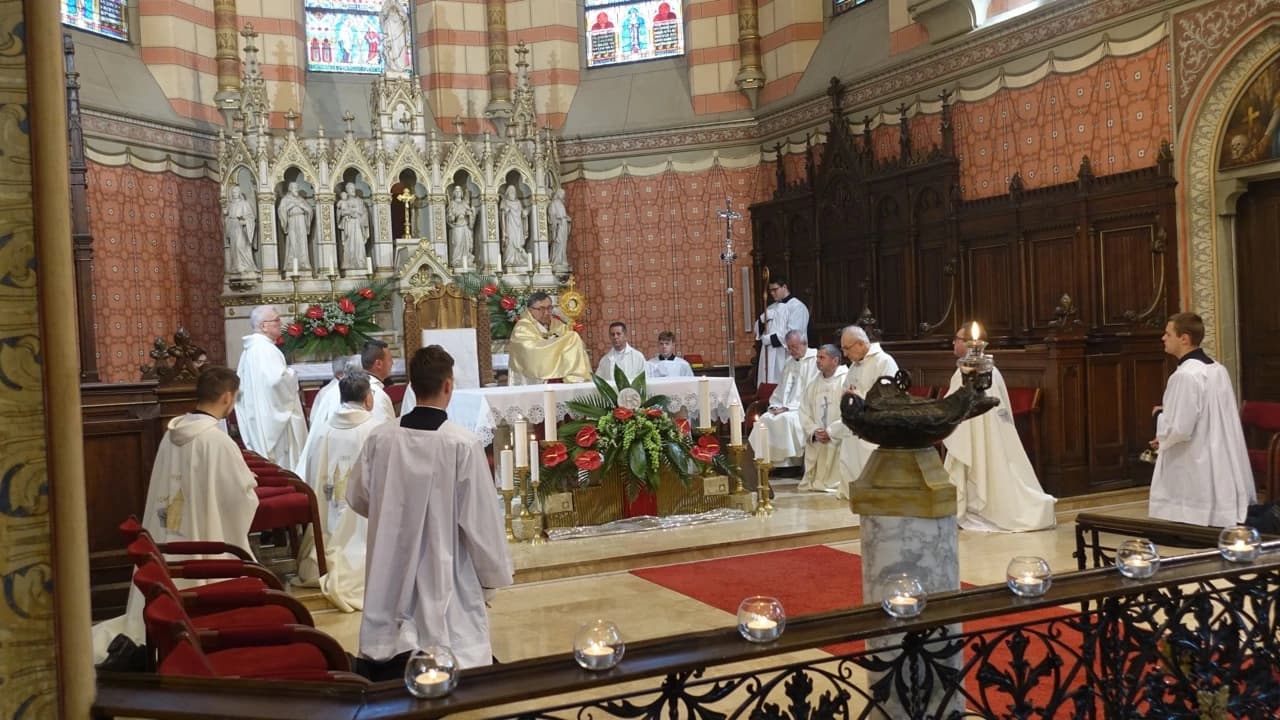 Kardinal Puljić predvodio Euharistijsko slavlje na Tijelovo u sarajevskoj katedrali