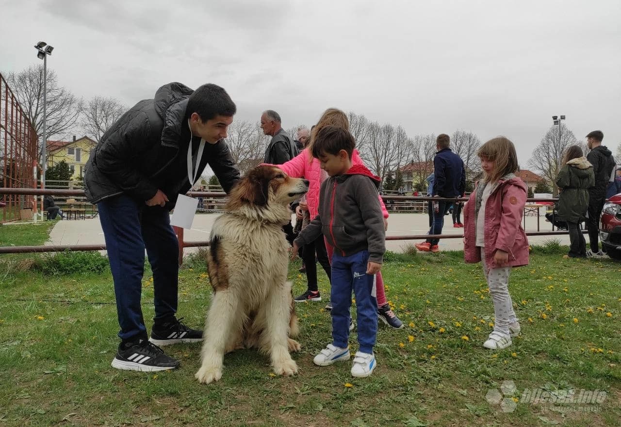 Specijalka tornjaka Tomislavgrad 2021