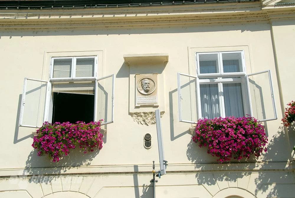 …reljefi Ljudevita Šmidhena…