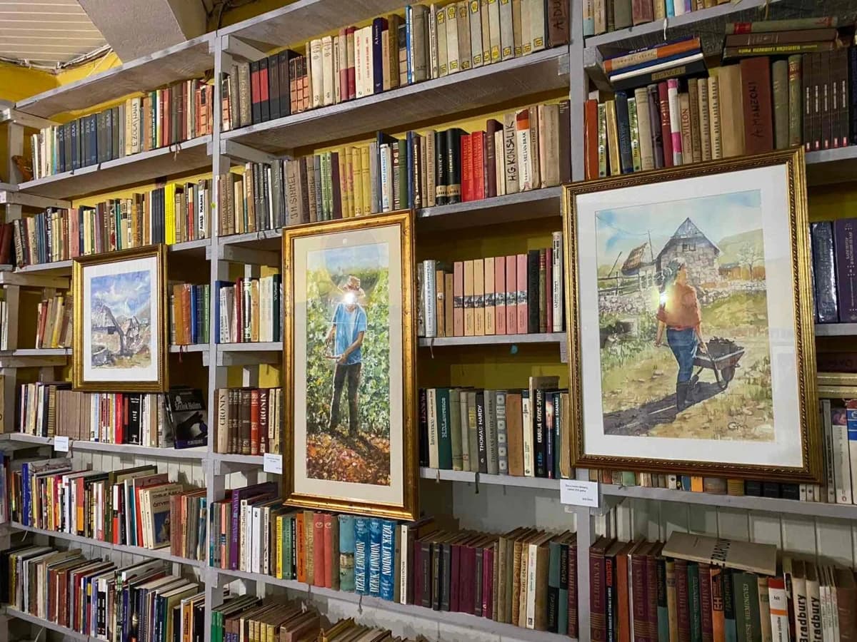 Boje života u Stocu