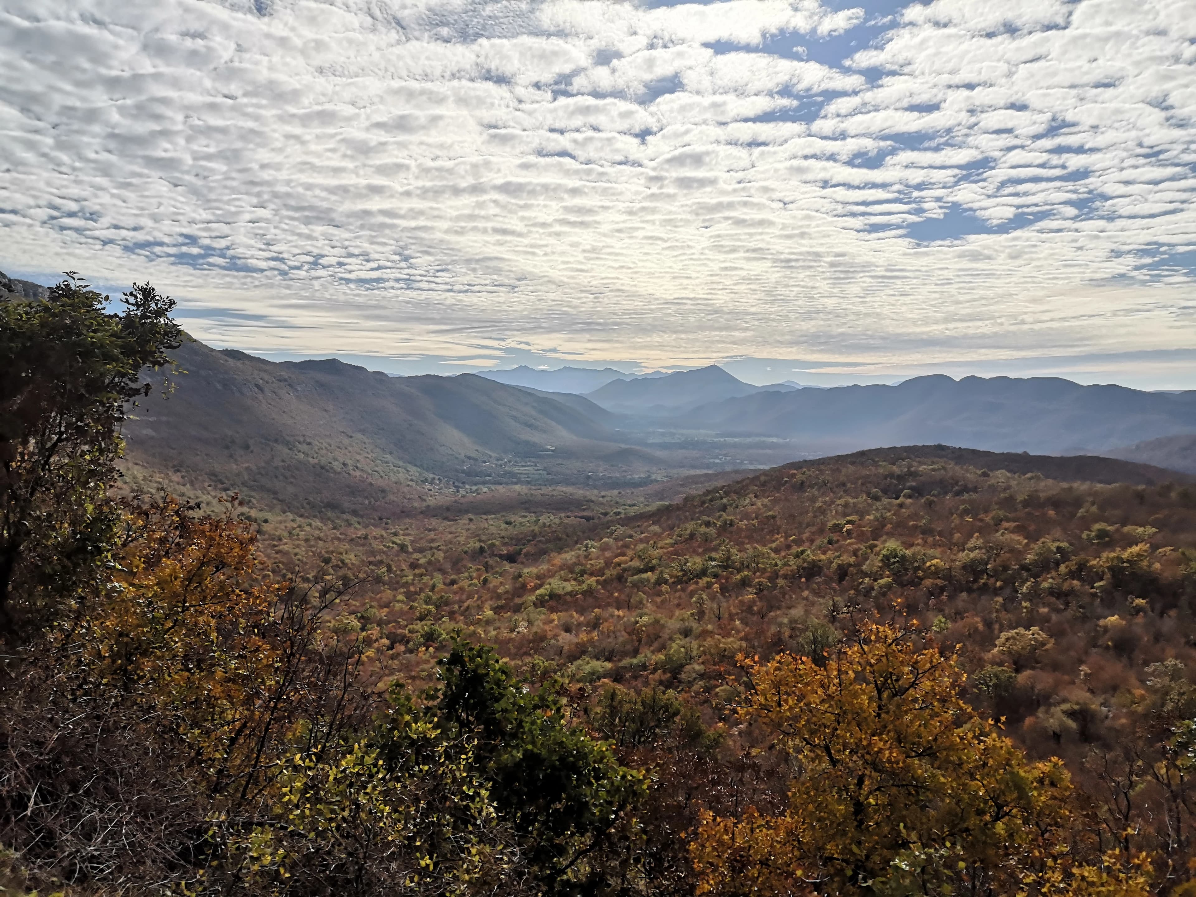 Foto: Matej Vučić iz Hrvatskog društva za biološka istraživanja iz Zagreba 