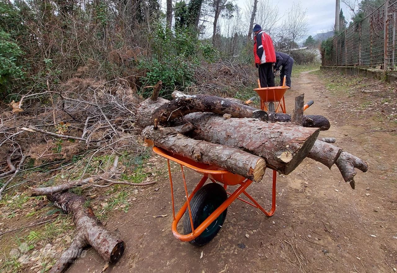 Slomljena stabla se pilaju i uklanjaju