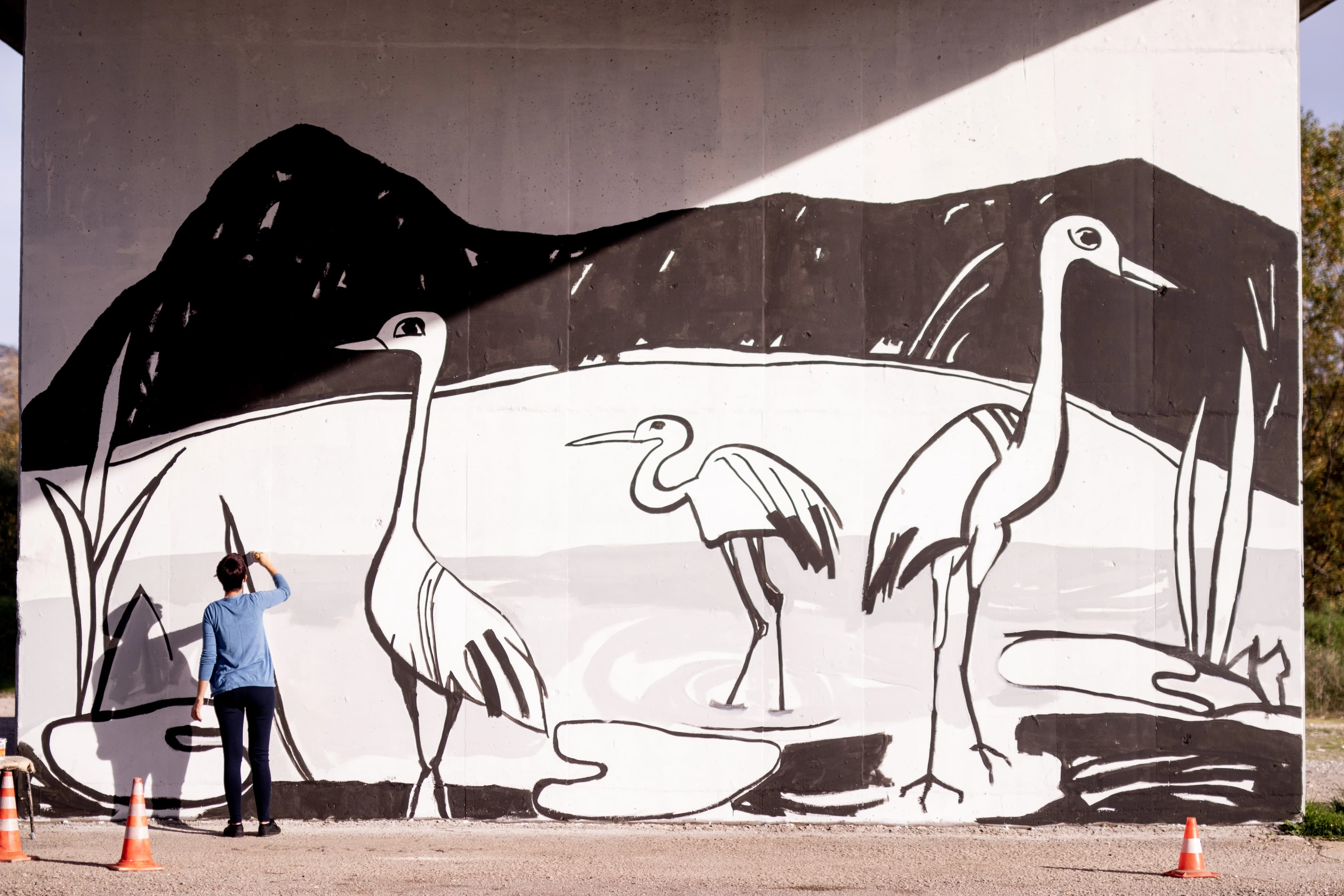 Cvijet Hercegovine u novom ruhu