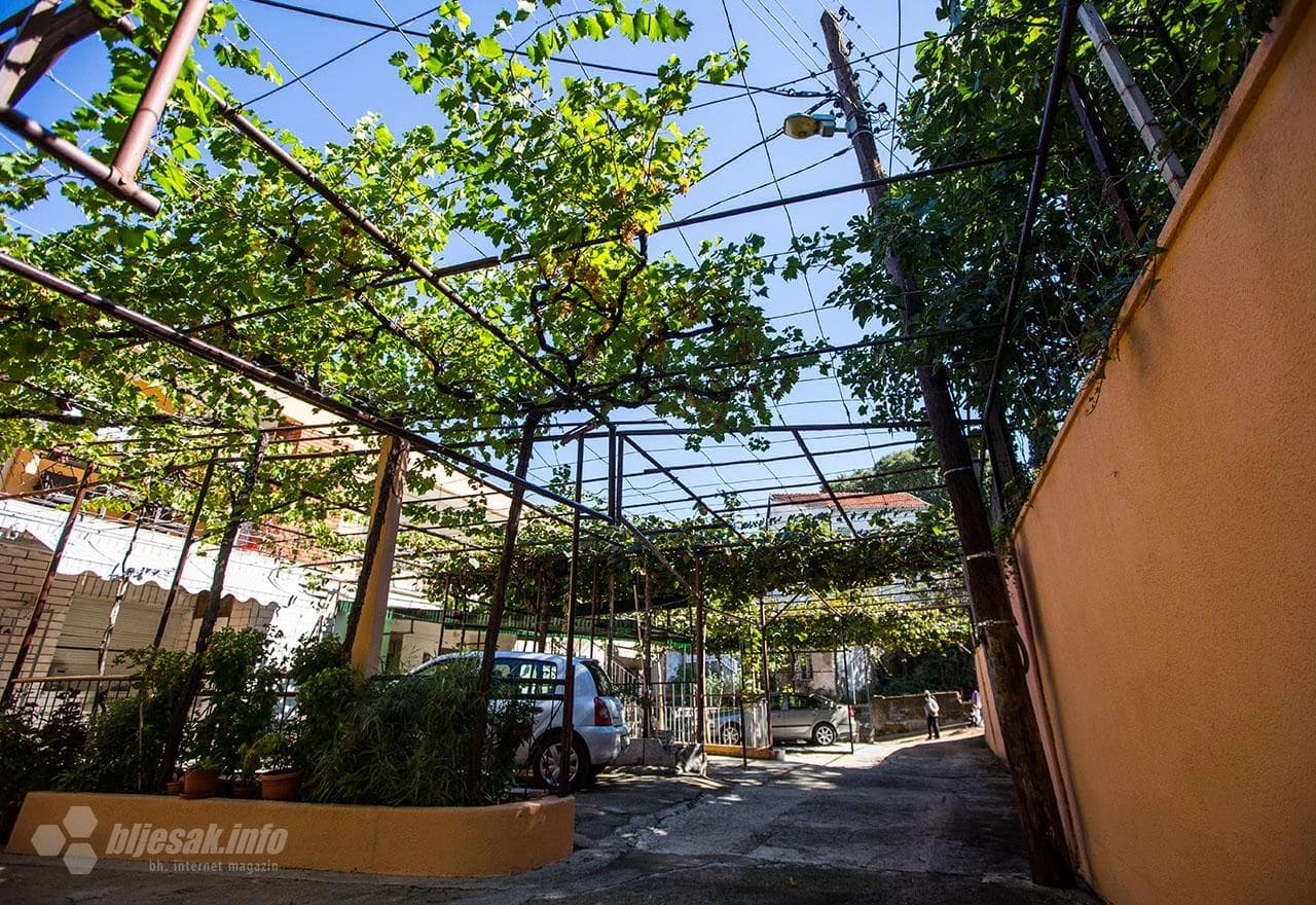 Kaos sa strujom na Panjevini: Električari žice razdvojili granama