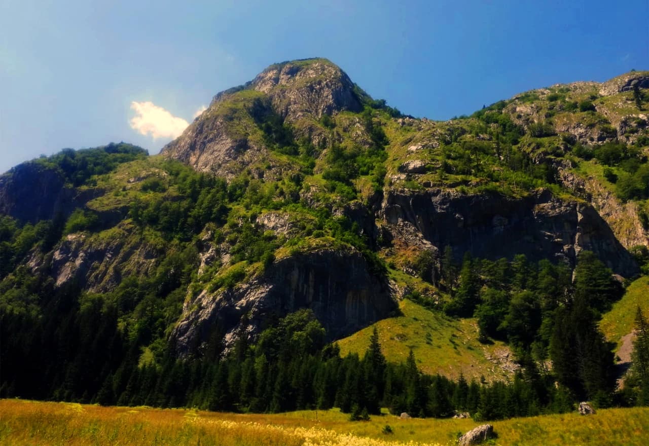 Prelijepi prizori utrke