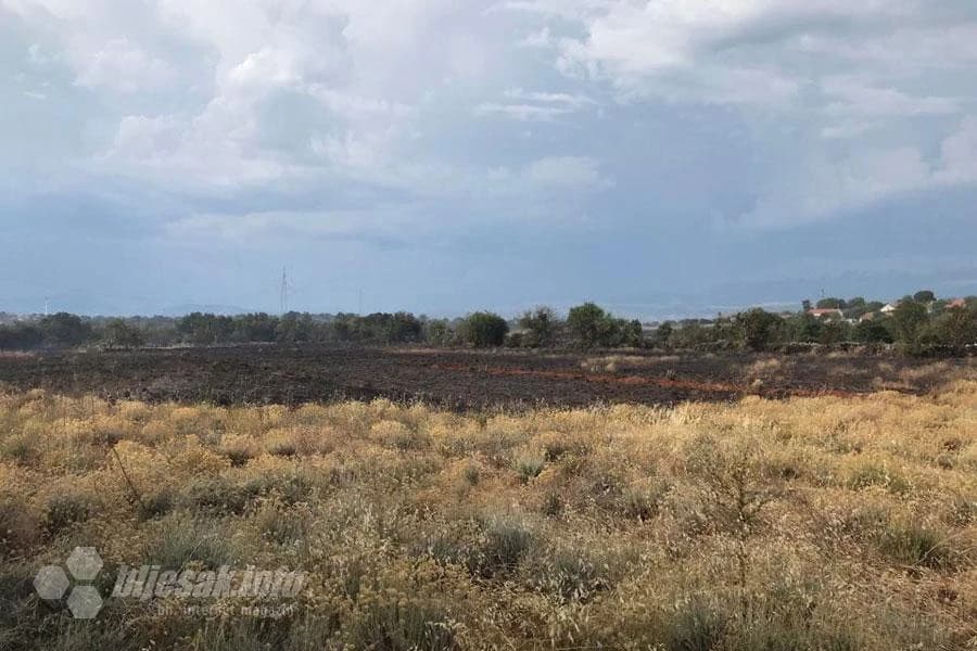 Stradale su i sadnice smilja