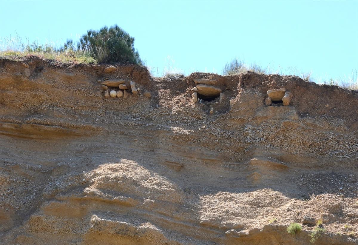 Propada groblje na kojem počiva Aleksa Šantić