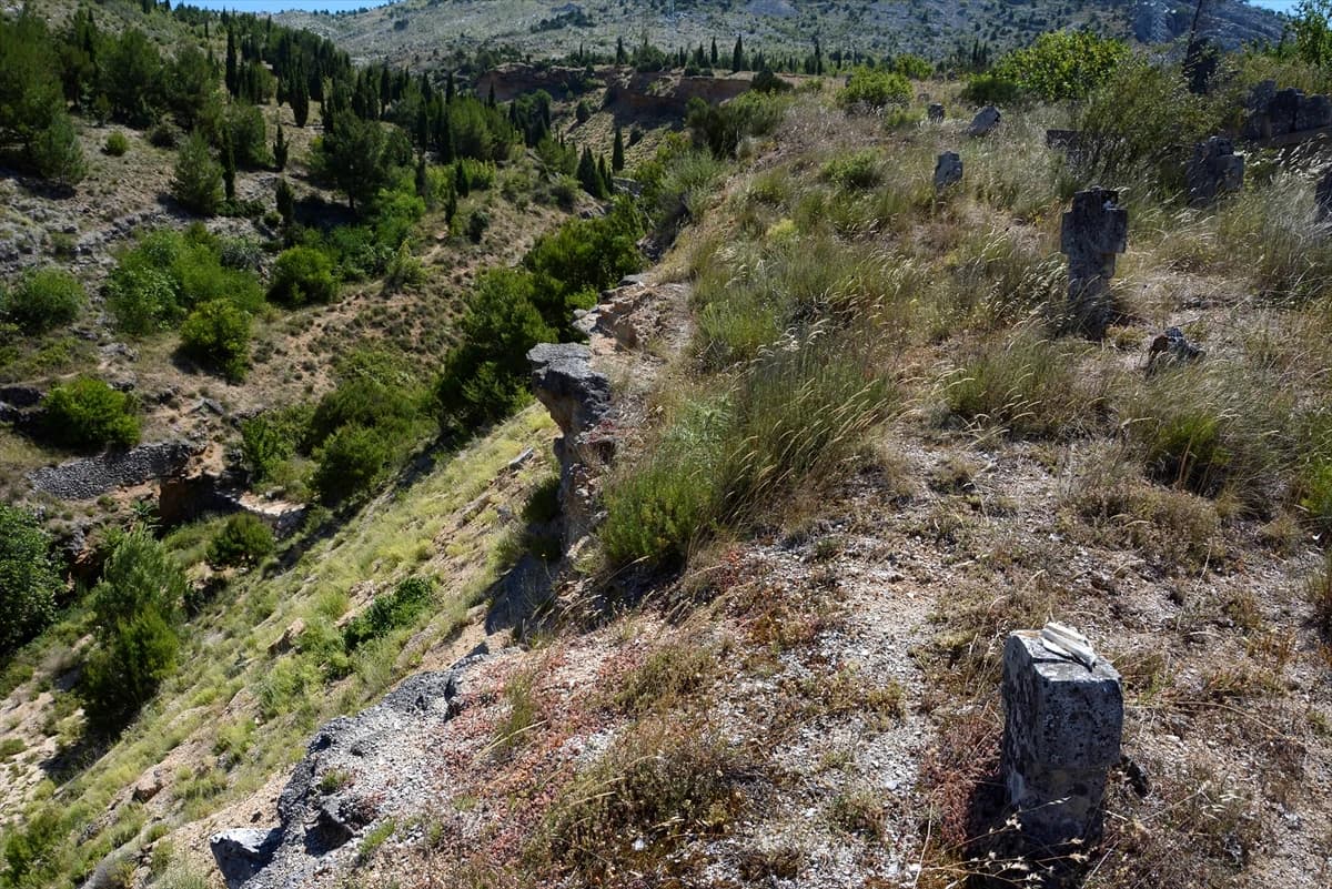 Propada groblje na kojem počiva Aleksa Šantić