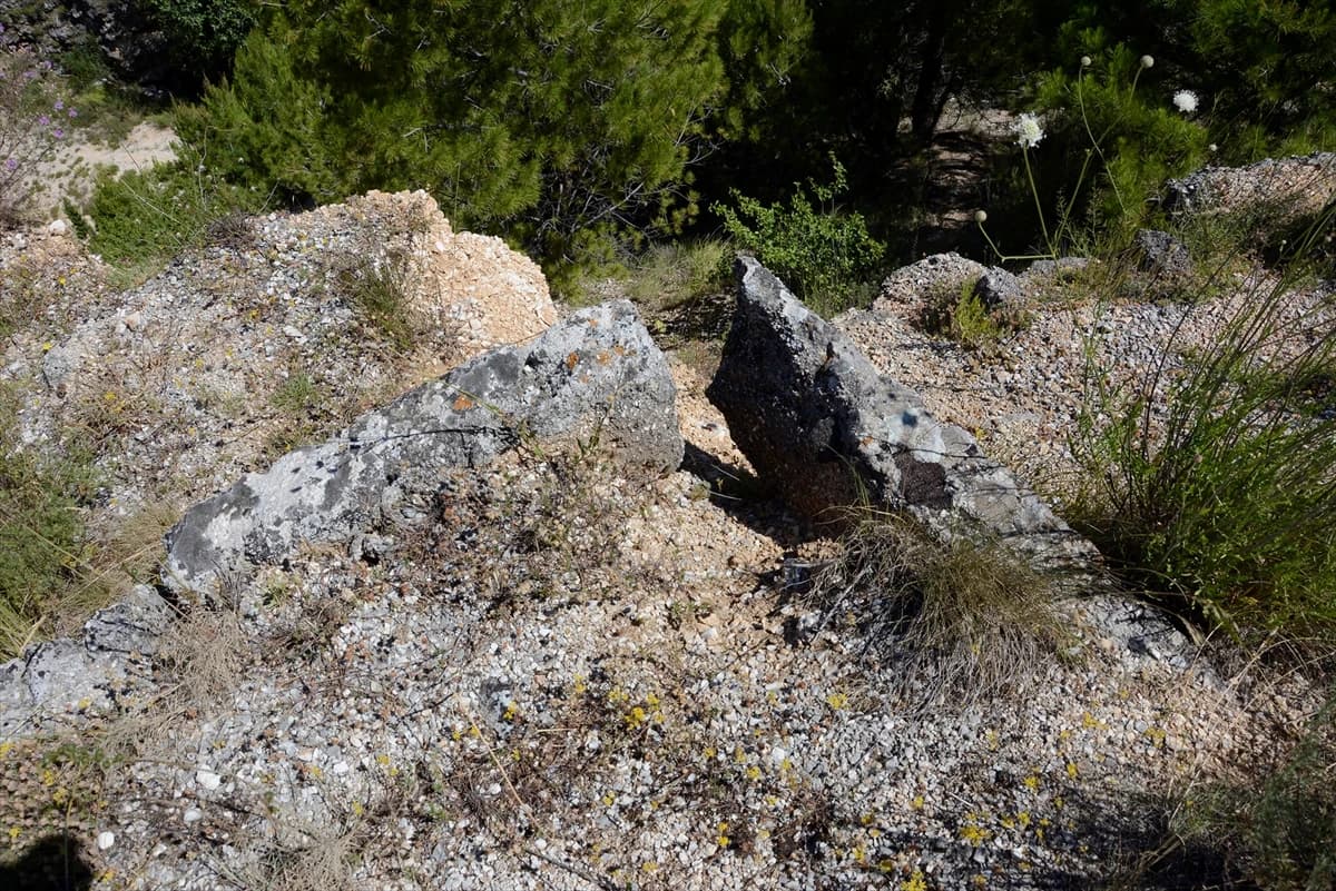 Propada groblje na kojem počiva Aleksa Šantić