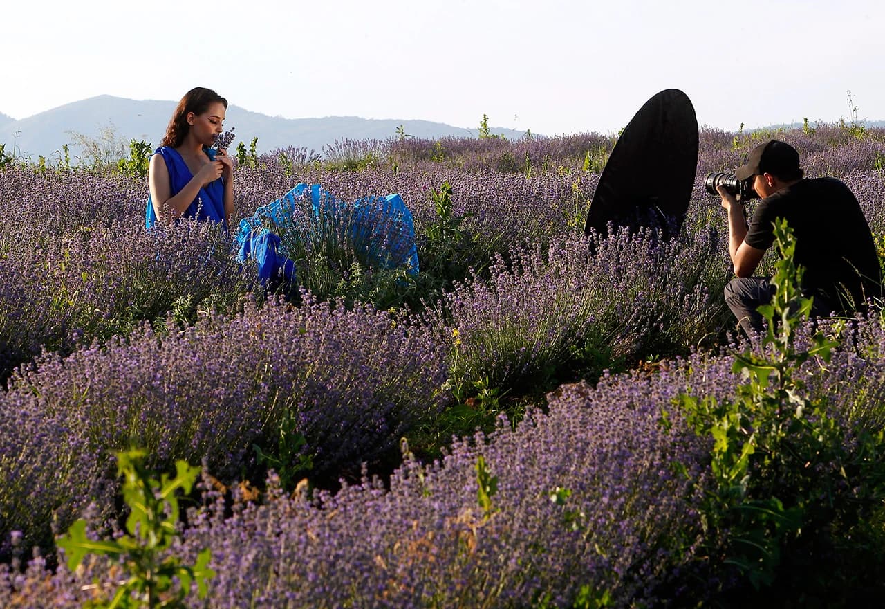 Padine brda pod lavandom i smiljem mame bojom i mirisom