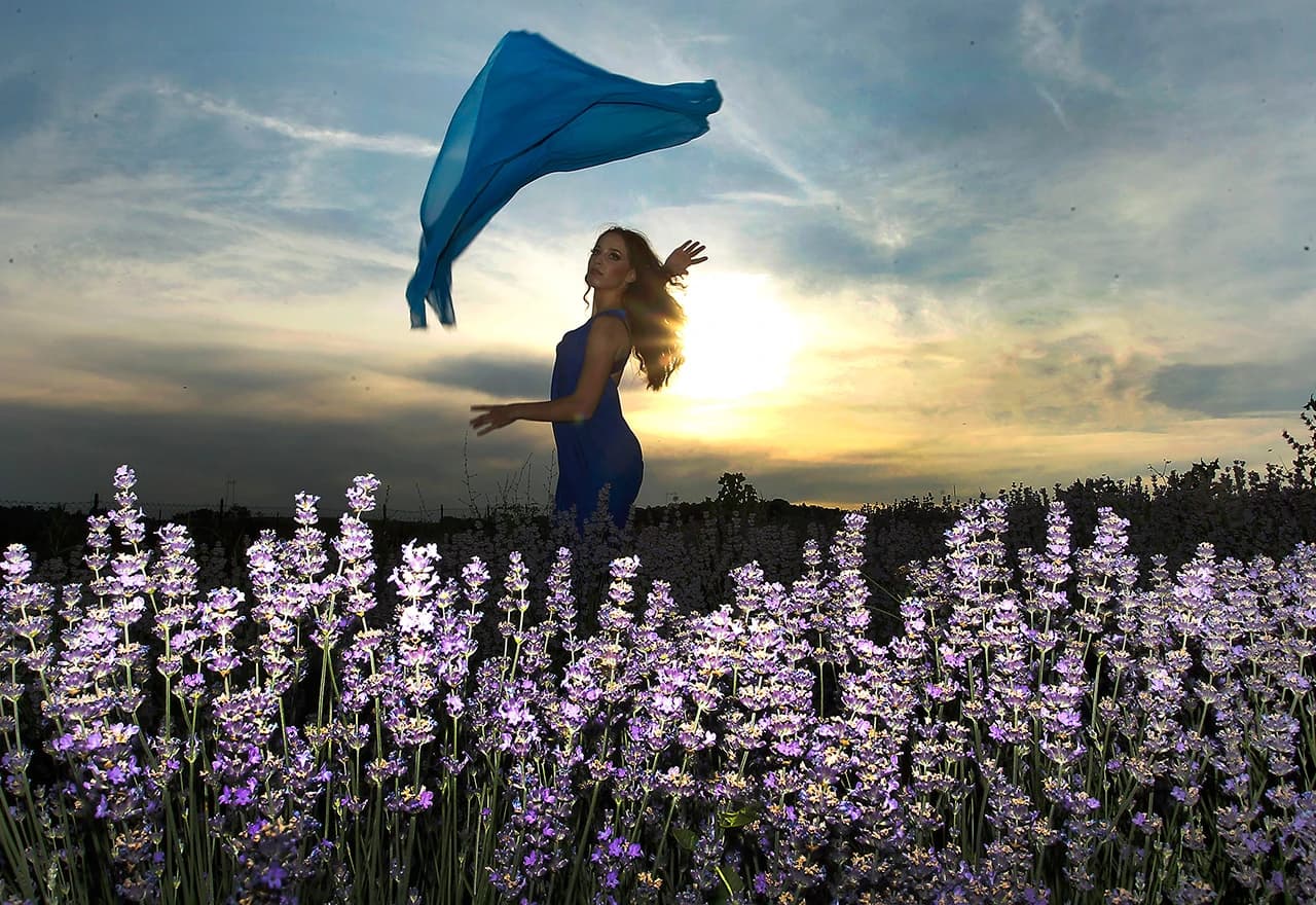 Padine brda pod lavandom i smiljem mame bojom i mirisom