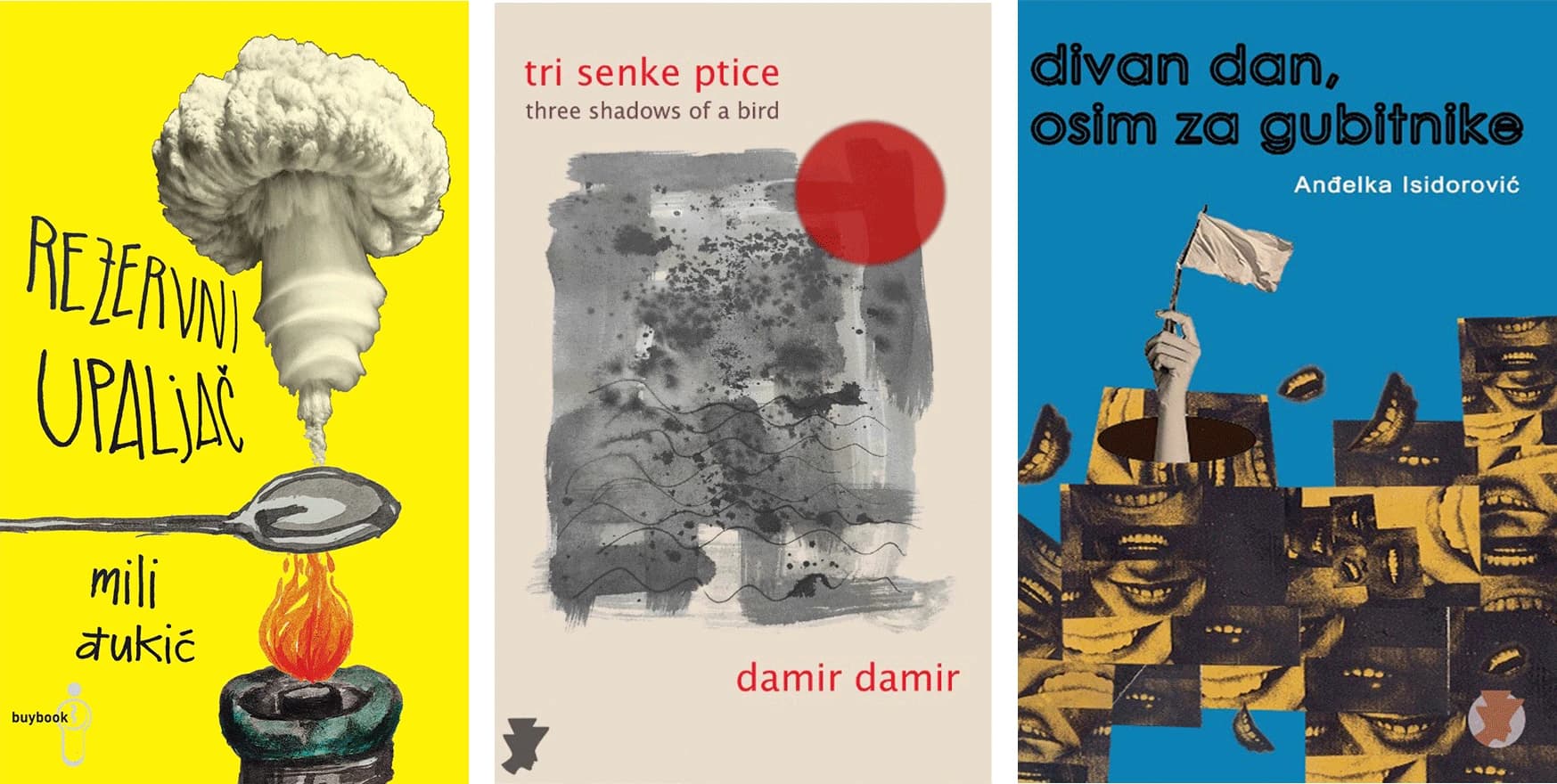 Neke od naslovnica knjiga koje je Đukić radila za izdavačke kuće Raštan iz Beograda i Buybook iz Sarajeva